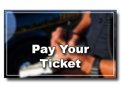 Payment made here will be applied directly to your fines with <font color="red"><u>NO</u> immediate verification</font> made to any law enforcement agency