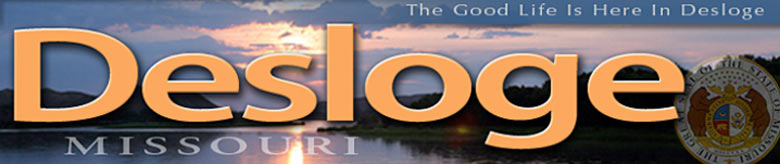 Desloge Court – Online Payments Header Image